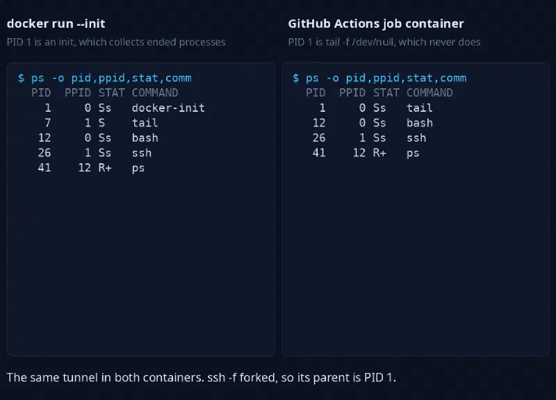 Animation: sshfwd --stop kills the tunnel process. With an init as PID 1 the ended process is reaped and disappears. With tail as PID 1 it stays in the process table as a zombie, and kill -0 still finds it.